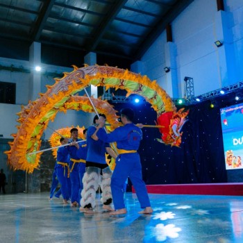 Lân Sư Rồng IVS.